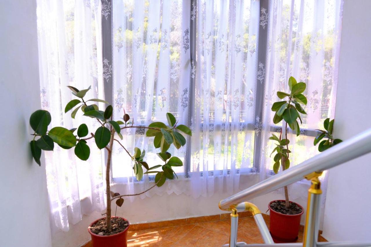 Vila Flamuri ゴーレム エクステリア 写真